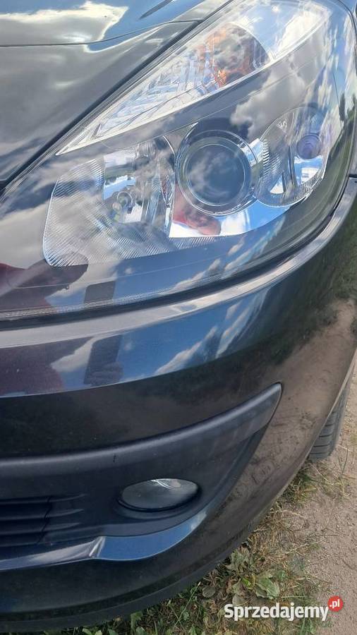 Renault clio wielkopolskie Wapno