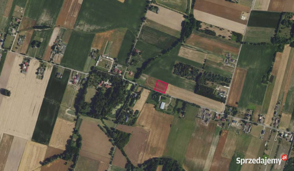Działka 564 w miejscowości Nowe Paski
