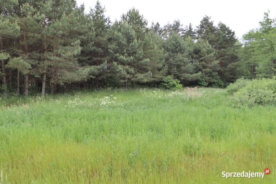 Działka o pow 5852 m2 drodze Via Baltica 5852m2 Sprzedaż Kalinowo