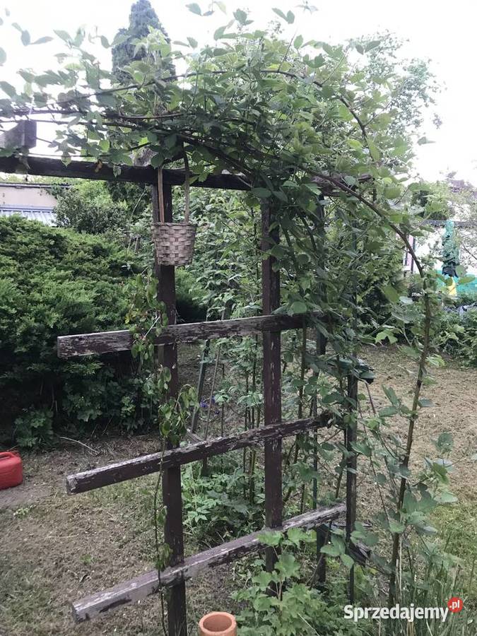Ogródek działkowy ROD im Henryka Sikorskiego Tczew