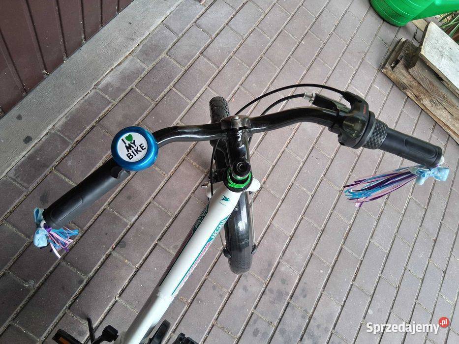 Rower Pegasus koła 20 Radom