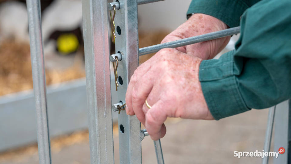 Domek cieląt pojedynczy CalfOTel XL2 z progiem z