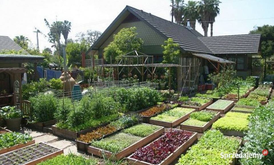 NADSTAWKI PALETOWE 120x80 grządki drewniane małopolskie Kraków