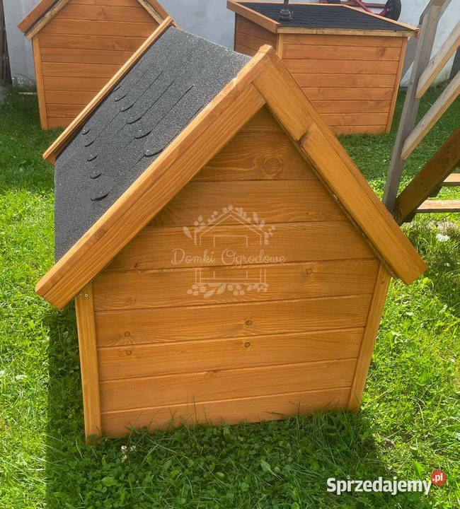 Buda psa Rozmiar XL Pinia Dach dwuspadowy ID835 Olsztyn