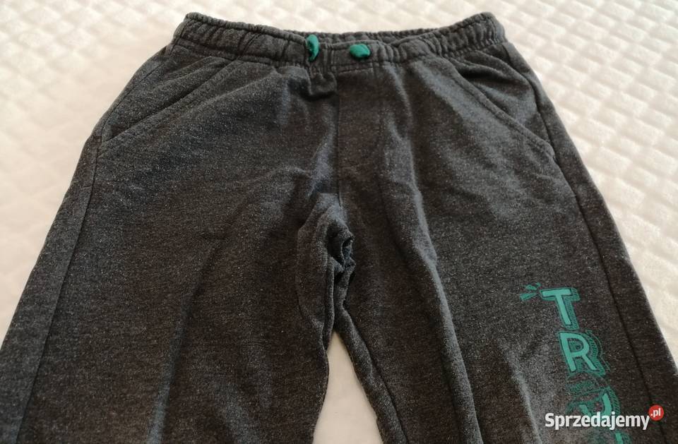 Spodnie dresowe szare 110 Little kids Odzież Spodnie Czeladź