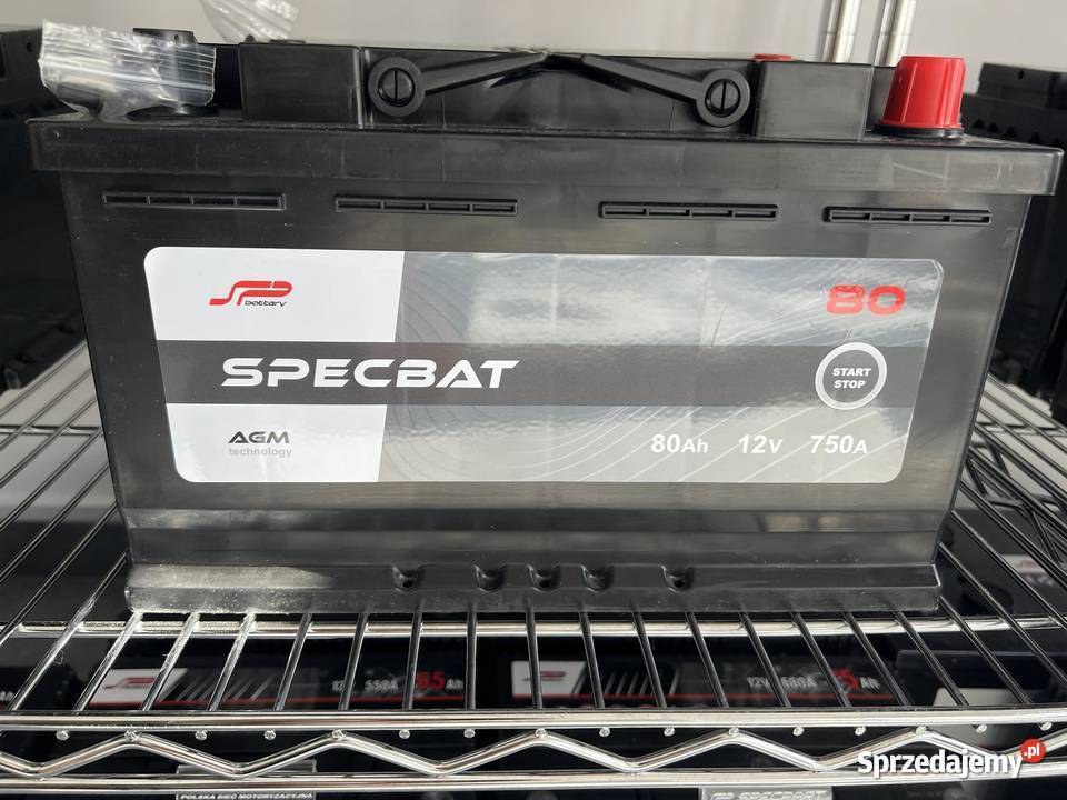 Akumulator SPECBAT 80Ah 750A AGM Akumulatory