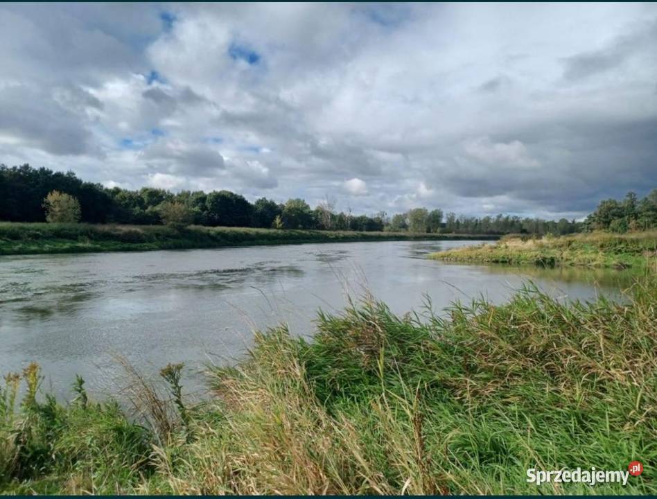 Działka rekreacyjna Gliniany sprzedam