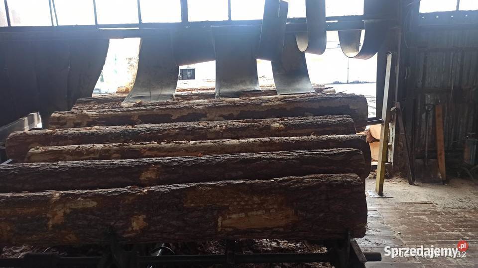 Trak ramowy pionowy FOD DTRA63