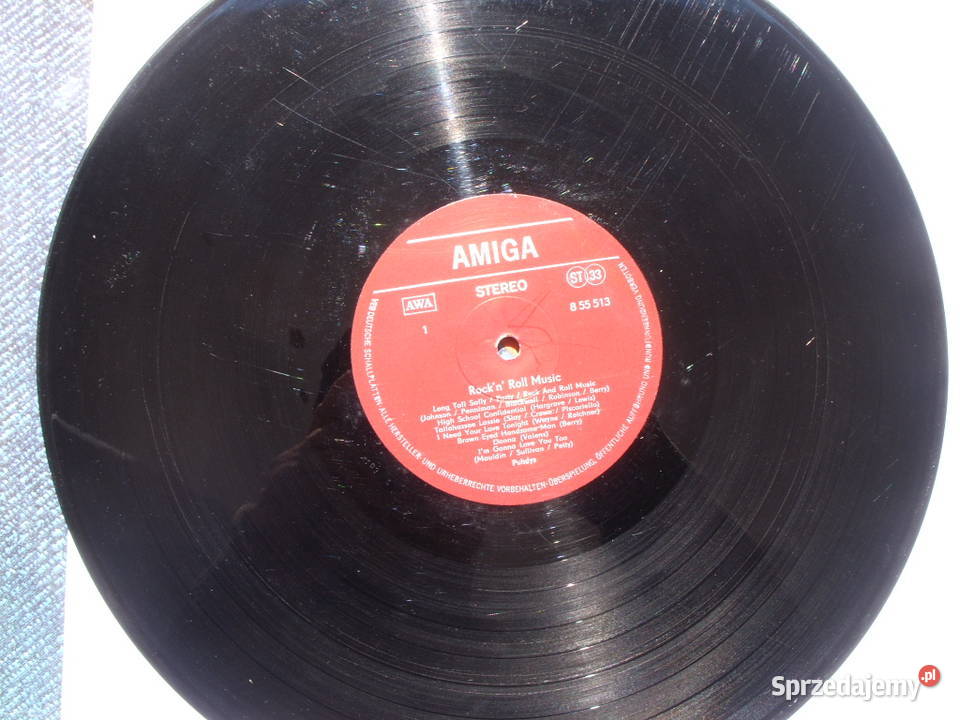 Winyl LP PUHDYSROCK N ROLL Amiga 1976 r 1 płyta Wołów