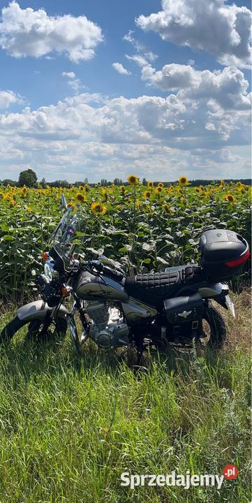 Romet soft chopper Łuków sprzedam