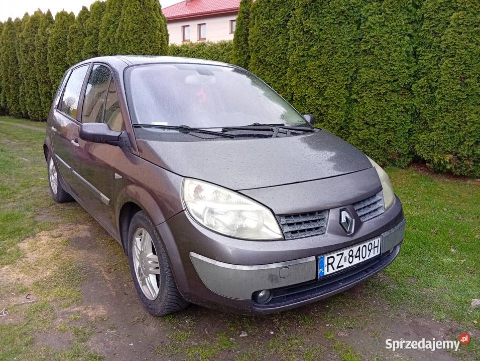 Renault Scenic 19 TDI Rzeszów