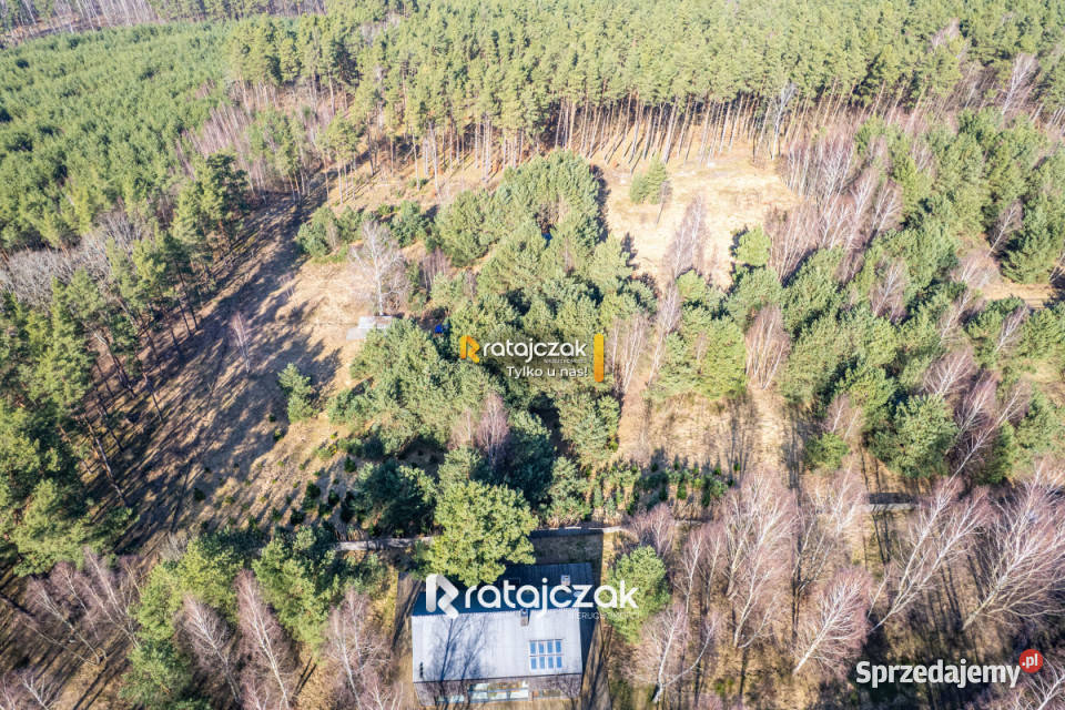 Grunt na sprzedaż 9751m2 Sasino Stara Cegielnia
