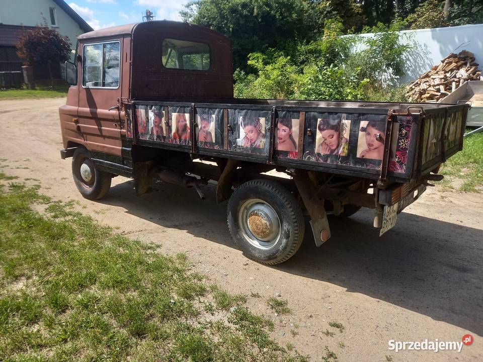 Żuk skrzyniowy Kartuzy