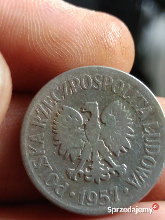 Sprzedam monete 50 groszy 1957 ff Chełm