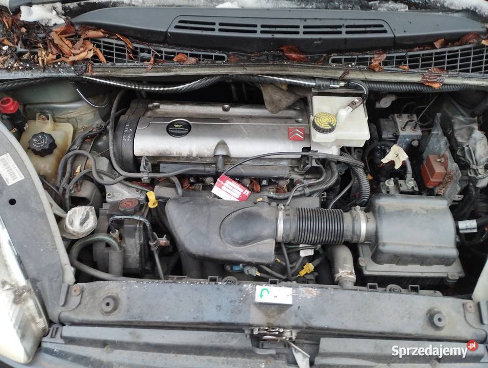 Citroen Xsara Picasso 18 sprawny Sosnowiec