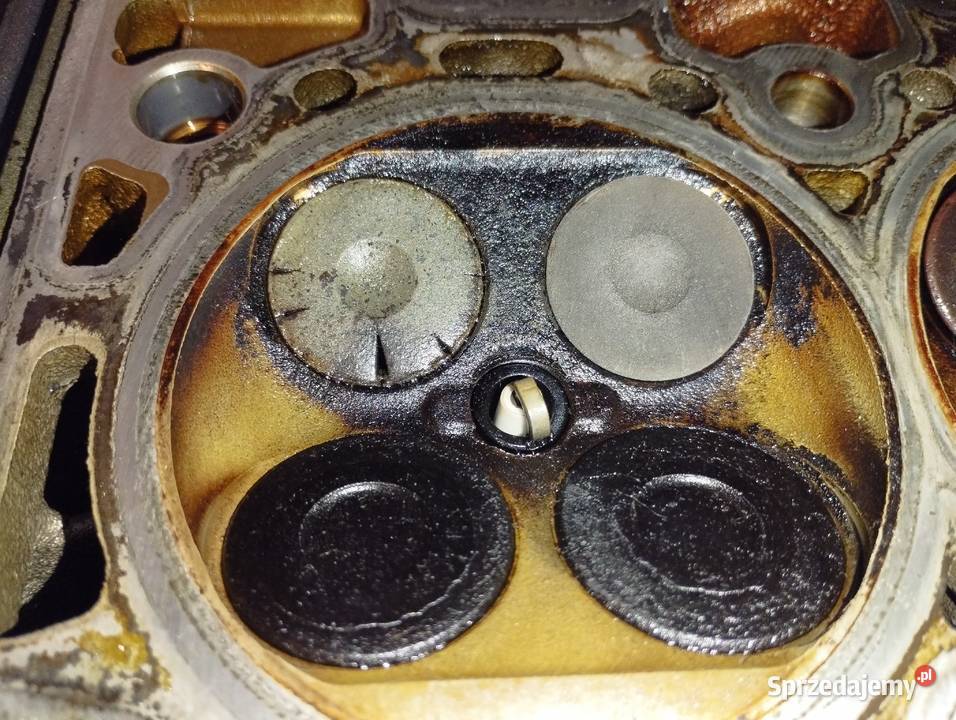 Głowa 55559340 A16XER Chevrolet Opel małopolskie Zakopane