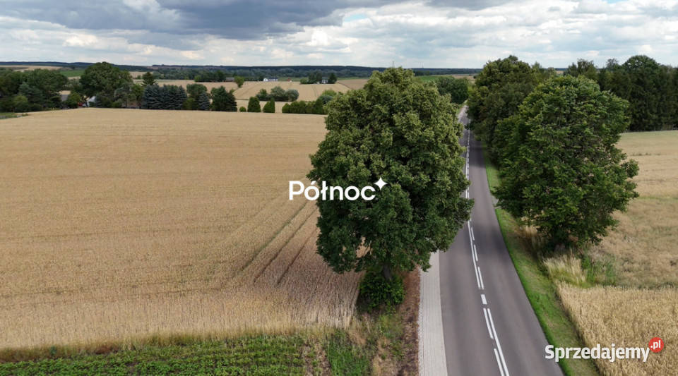 1 ha pola w granicach miasta Hrubieszów lubelskie