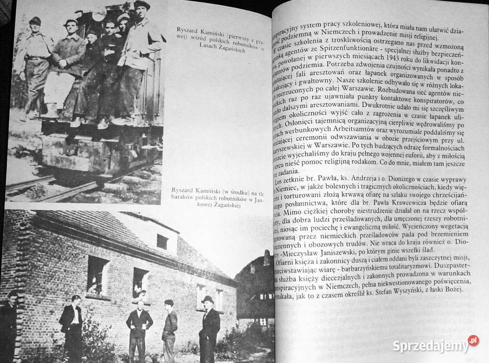 Laski w czasie okupacji 19391945 Alicja lubelskie Chełm