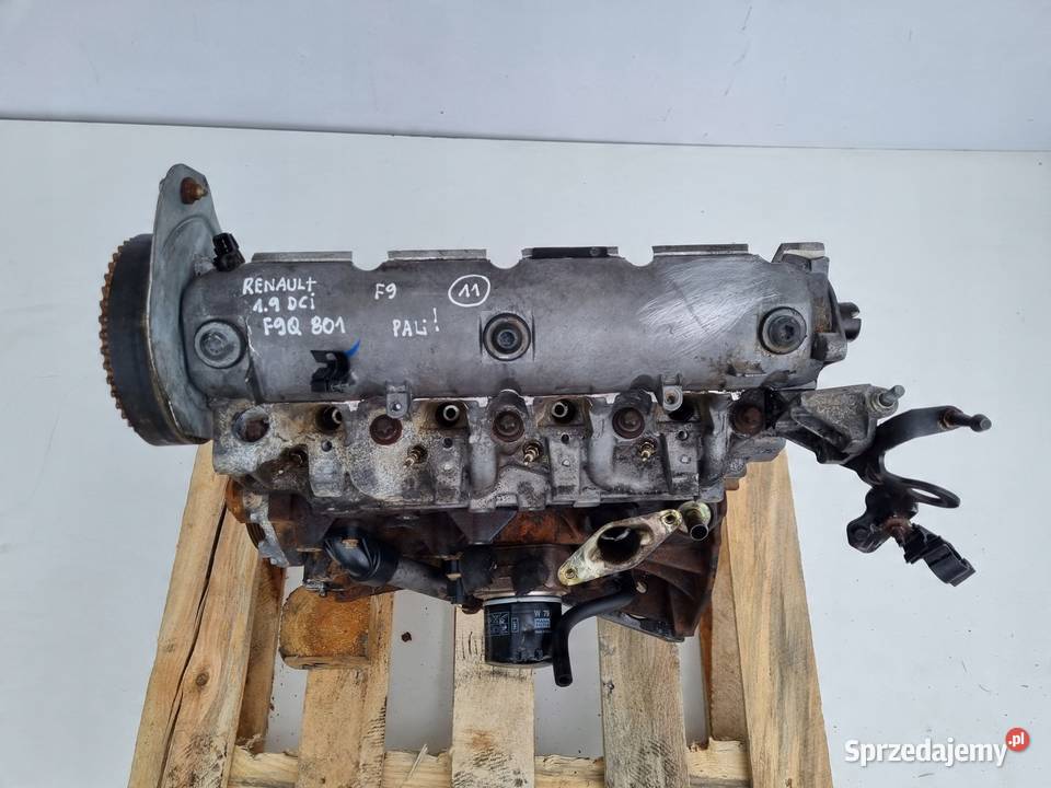 SILNIK Renault Scenic II 19 DCI 131 F9Q801 F9 Silniki kompletne Janów