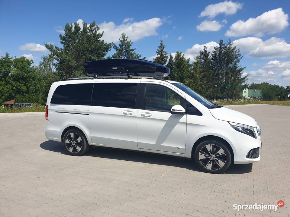 Busy Grodzisk Wielkopolski Holandia Niemcy Taxi i przewozy osobowe