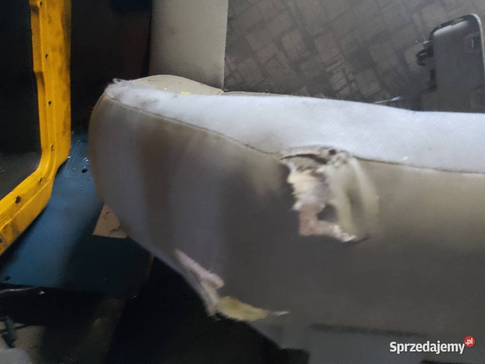 Sprzedam Holenderka Vivaro tratic pomorskie sprzedam