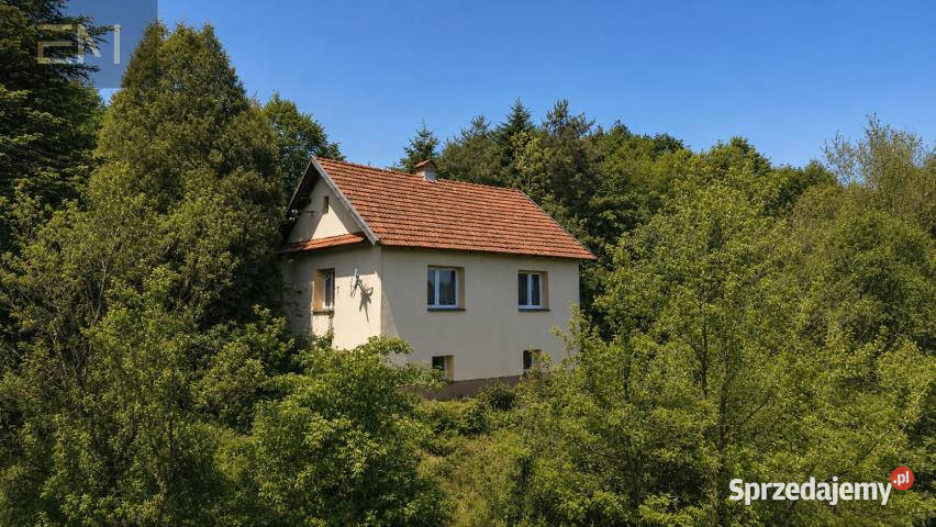 Dom wolnostojący 63m2 Wysoka Strzyżowska 4000m2 podkarpackie