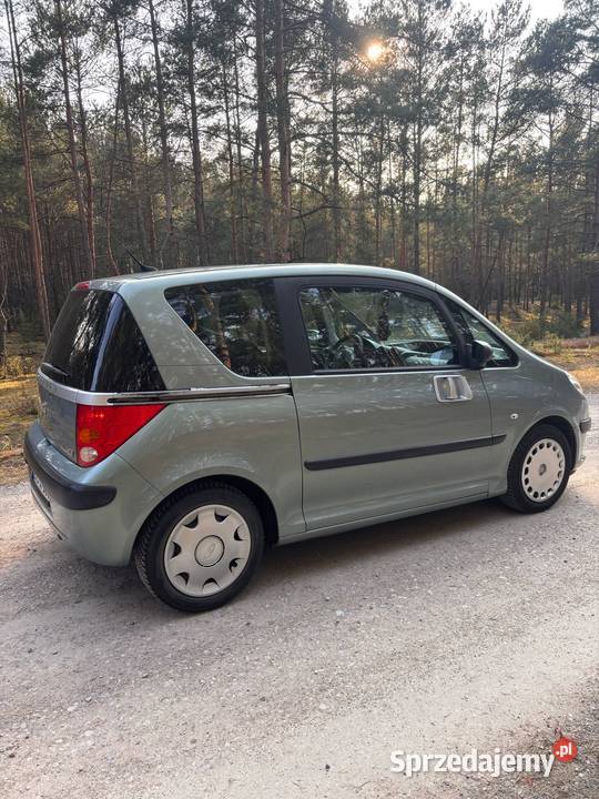 Peugeot 1007 2006 64KM Gostynin