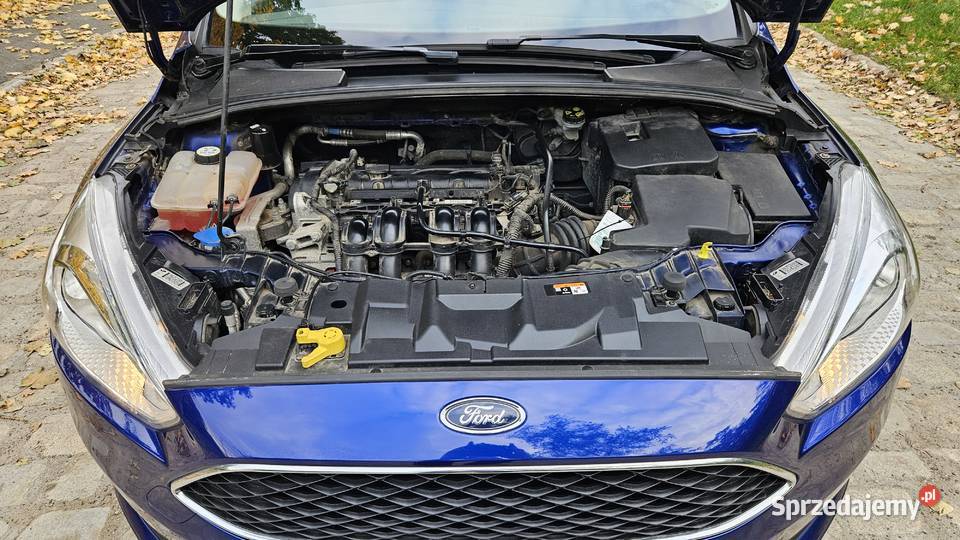 Ford Focus 2016r 16 benzyna 125 salonowy Wrocław sprzedam