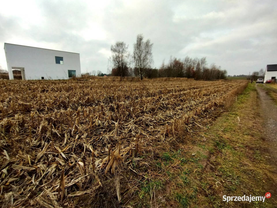 Sprzedaż działki 1600m2 PłouszowiceKolonia 22m Płouszowice-Kolonia