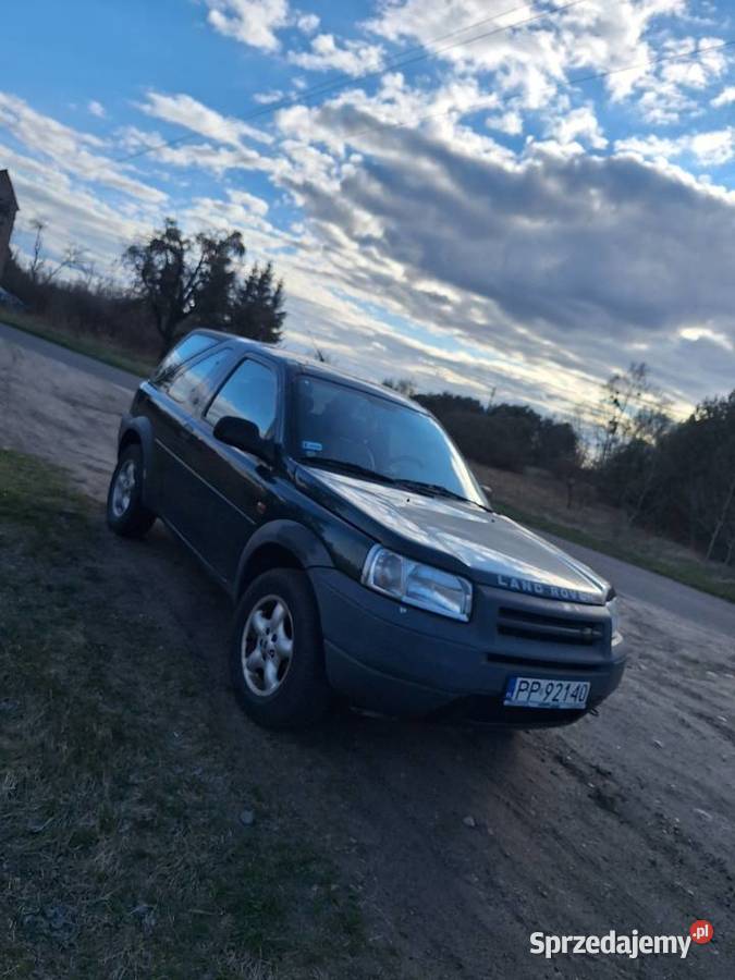 Land Rover Freelander Piła