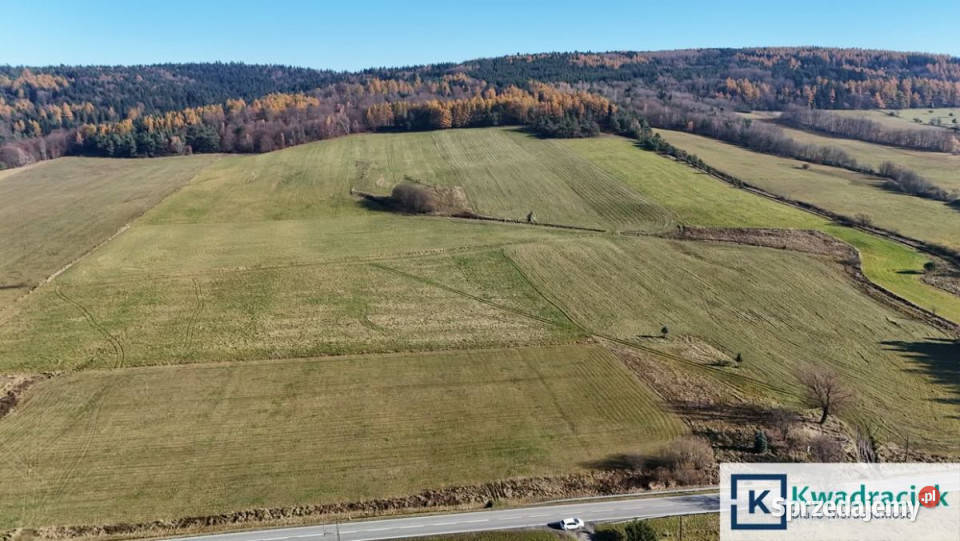 Grunt Zdynia 2762m2 prąd