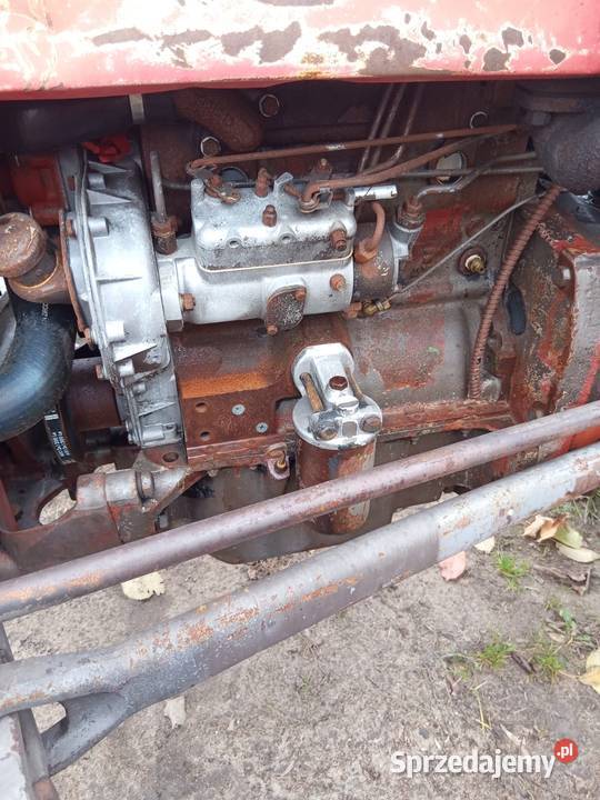 David Brown 990 David Brown Burzenin