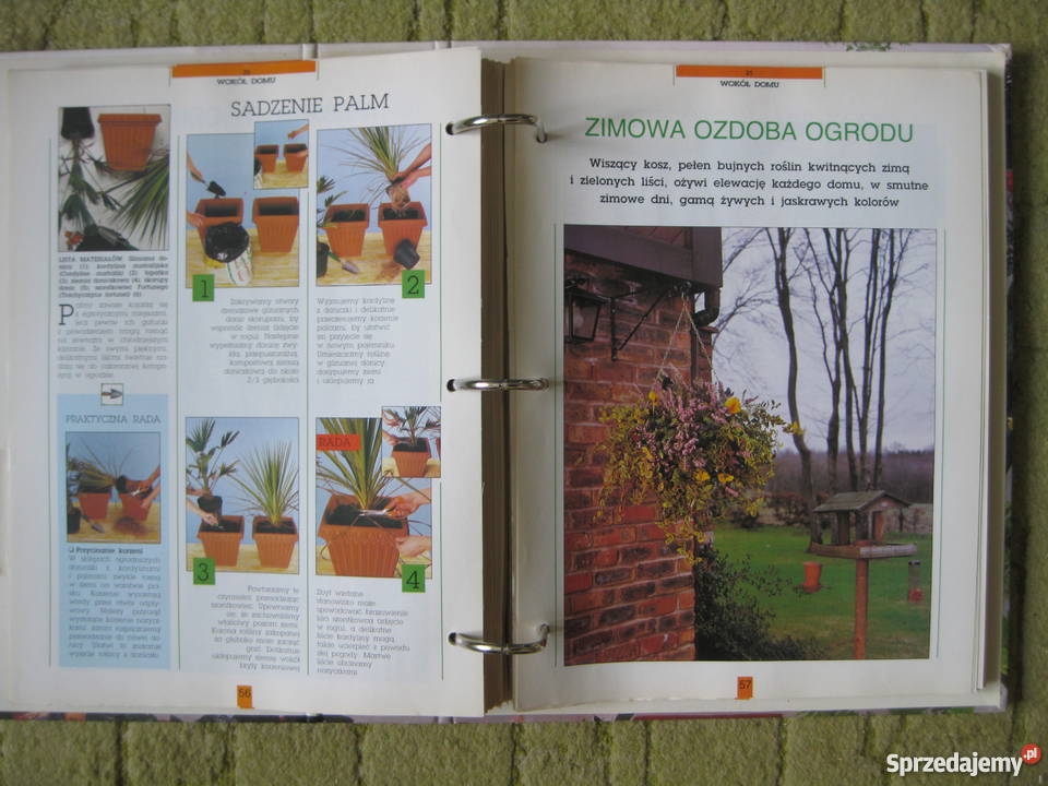 Magia roślin Przedborski i Spalski Park Kraj Łódź