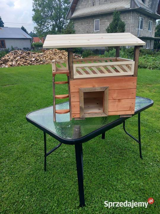 fajn y kojec kota małego pieska Kościelisko