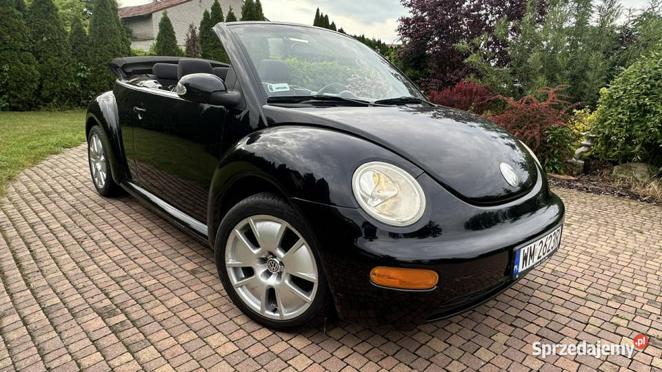 Volkswagen Beetle Przasnysz