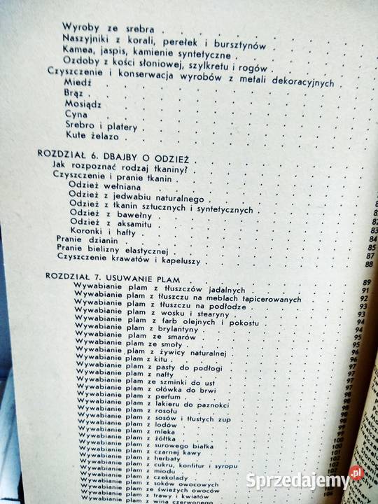 Dzięgielewska abc porządków domowych