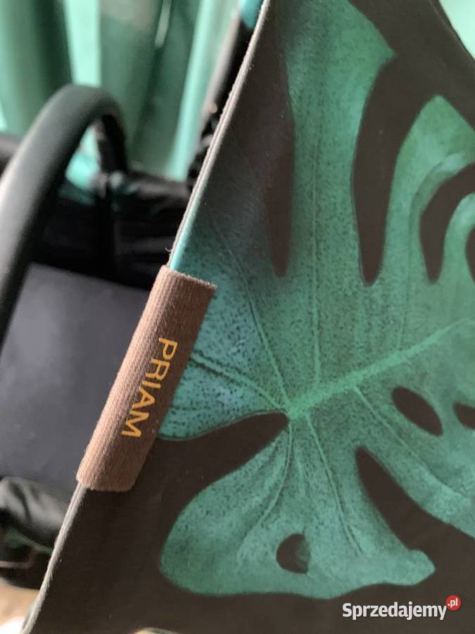 Cybex birds of paradise wielkopolskie