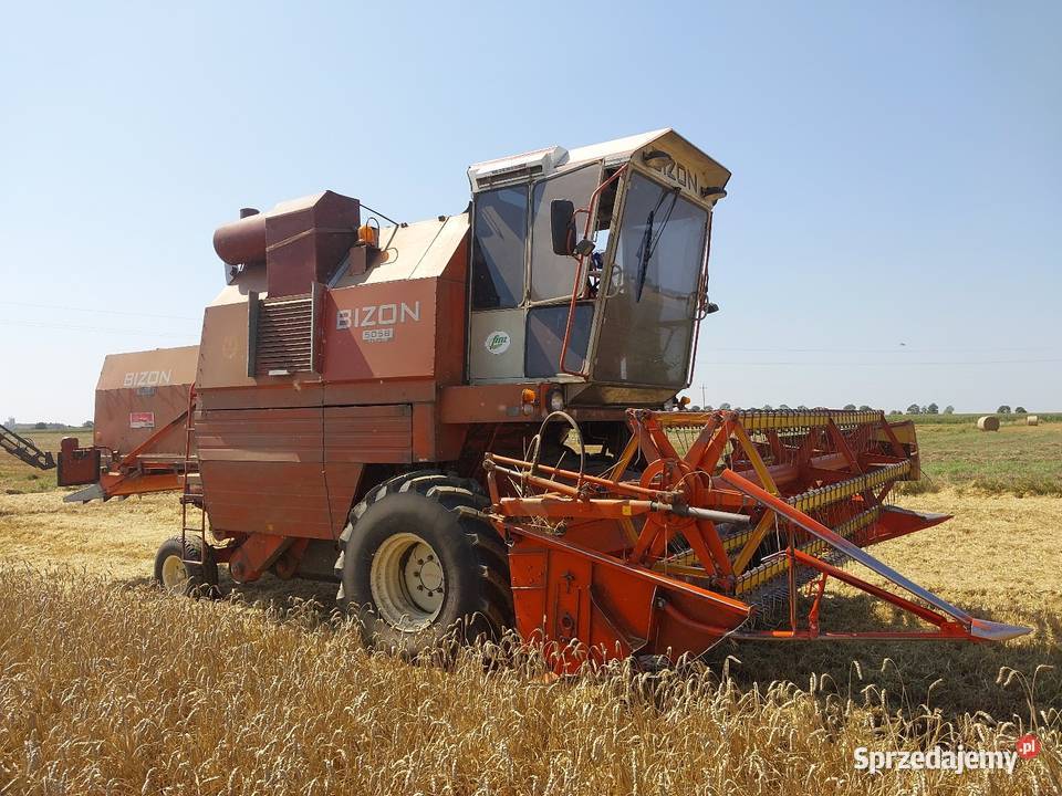 Bizon rekord czeski export Bizon Piotrków Trybunalski