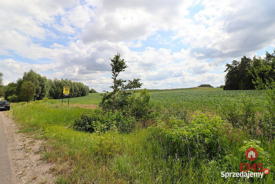 sprzedaży działki 1273m2 Rożyńsk Wielki