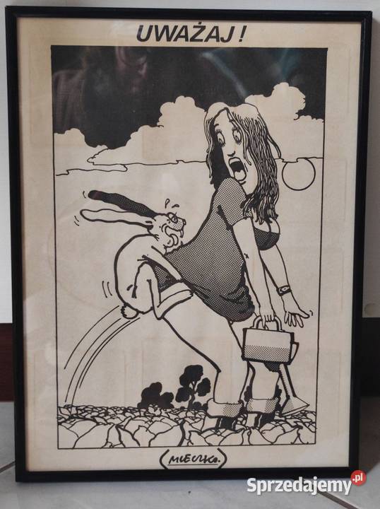 Andrzej Mleczko obraz rama oprawa Uważaj sex świętokrzyskie Kielce sprzedam
