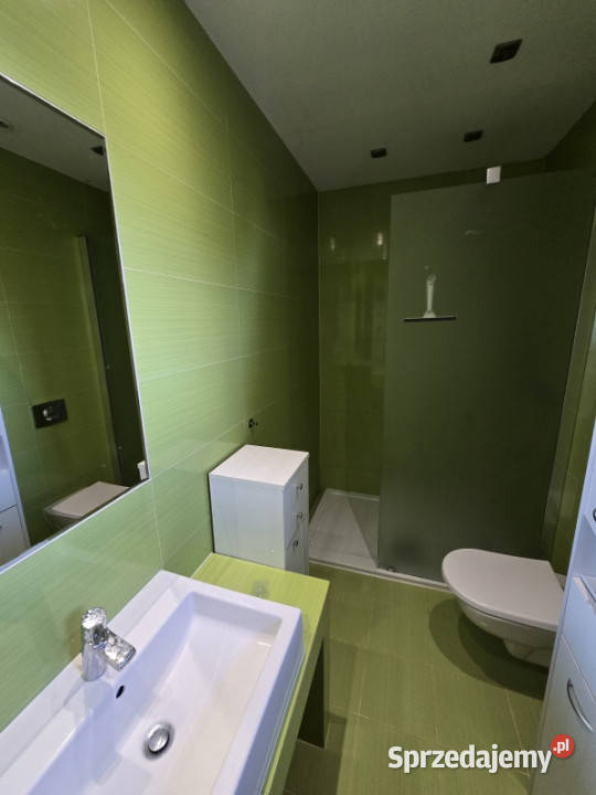 Dom na skaju Puszczy Białowieskiej Hajnówka sprzedam