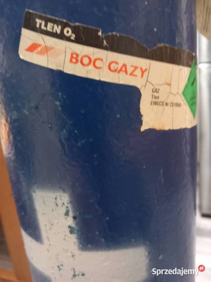 BUTLA NA TLEN MEDYCZNY Pozostałe lubuskie Kożuchów