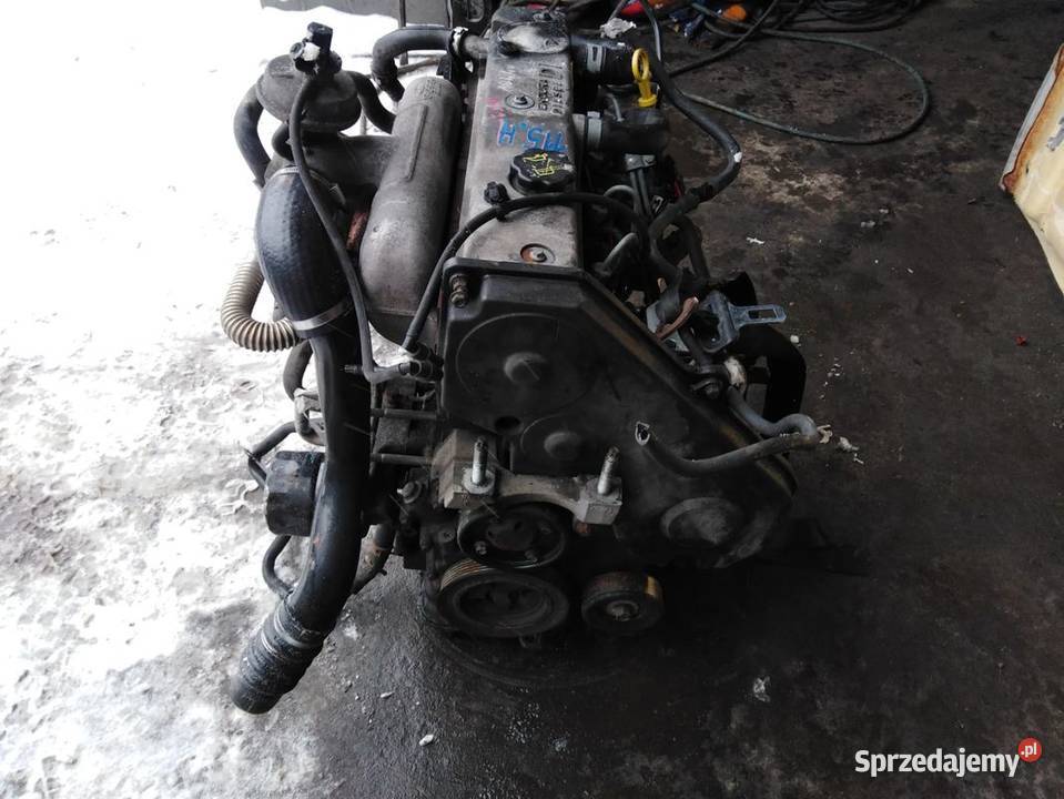 115HFORD FOCUS MK1 18 TCI 90 SILNIK LYNX D3 Włoszczowa