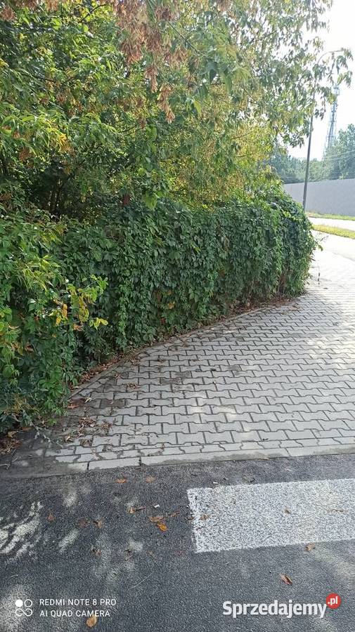 działka budowlana 304m Warszawa Rembertów Sprzedaż mazowieckie