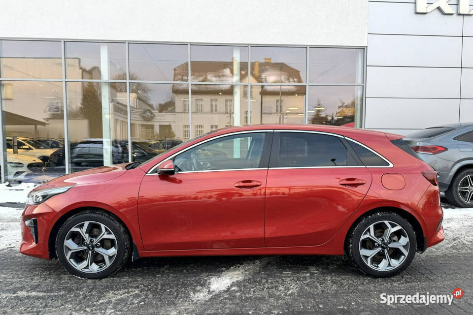 Kia Nowy Ceed 14 TGDI 140 Business Line Toruń