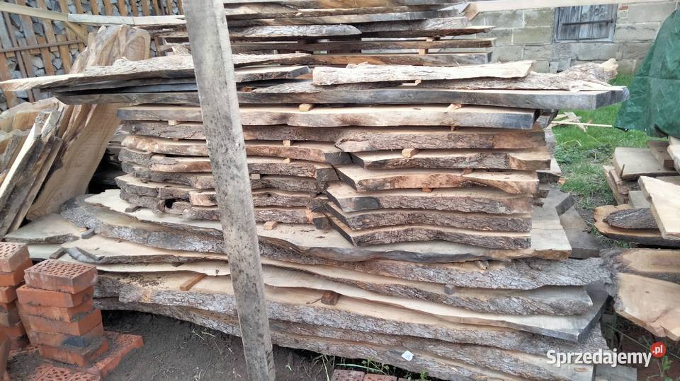 Oliwka europejska deskiplastrybale Mielec