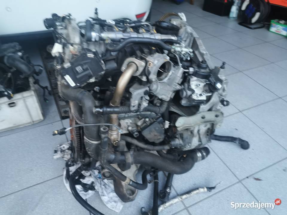 Silnik Alfa Romeo Stelvio 22 Złocieniec