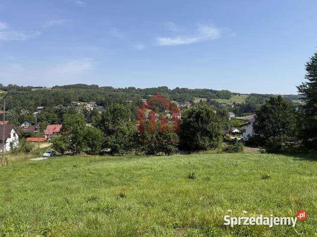 Grunt Lubenia 2932m2