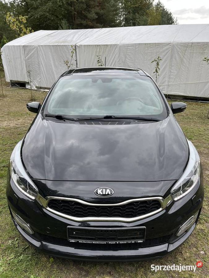 Kia Proceed Benzyna Niski Przebieg Kia lubelskie Poniatowa