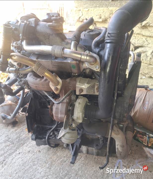 Silnik 19 Tdi Bvk vw Sharan 2009r Czarna Woda